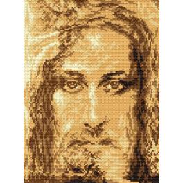 S 4264 Cross stitch pattern for smartphone - Shroud of Turin