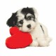 S 4960 Cross Stitch -kuvio puhelimelle - ihana pentu
