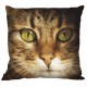 S 8843-01 Kreuzstichmuster für Smartphone - Kissen - Katze Lucky