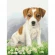 Cross stitch pattern for a phone - Terrier puppy