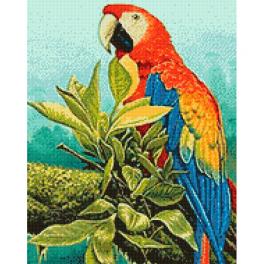 ZTDE 6059 Diamond painting kit - Exotic bird