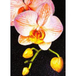 ZTDE 281 Diamond painting kit - Graceful orchid