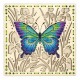 MP O -015 Cross Stitch Kit em madeira compensada - em um prado de flor