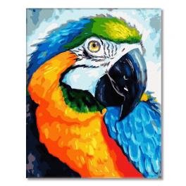 PC4050852 Painting by numbers - Rainbow parrot