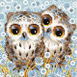RIO AM0063 Diamond painting kit - Little owls