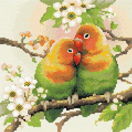 RIO AM0059 Diamond painting kit - Love birds