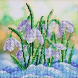 VDV TN-1329 Kit with beads - Snowdrops