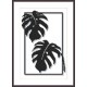 Z 10371 Kit de ponto cruz - folhas de monstera