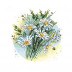 S 10383 Cross stitch pattern for smartphone - Delicate daisies