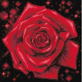 M AZ-1785 Diamond painting kit - Sparkling rose