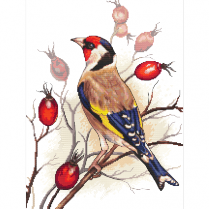 W 10815 Ristipistokuvio PDF - Linnut - Goldfinch