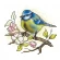 Cross stitch pattern for a phone - Tit on the apple tree