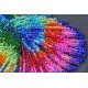 AB -822 Kit med perler - Rainbow Fish Dance