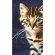Cross stitch pattern for smartphone - Night cat
