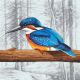 K 10768 Tapestry canvas - Kingfisher before flying