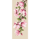 Z 10074 Kit punto croce - Delicate magnolie