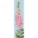Cross stitch pattern for a phone - Bookmark with foxglove