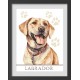 Zn 10863 Cross Stitch -kudoksella - koira - Labrador