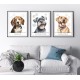 Zn 10863 Cross Stitch -kudoksella - koira - Labrador