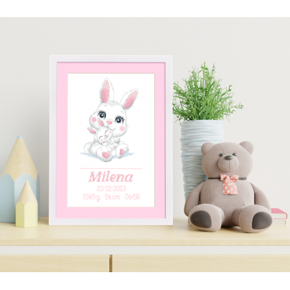 Z 10868 Cross Stitch Kit - Birth Certificate With Bunnies - Girl
