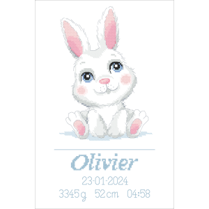 Z 10867 Cross Stitch Kit - Geburtsurkunde mit einem Hasen - Junge