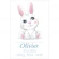 Cross stitch pattern for a phone - Birth certificate with a bunny - Boy