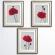Cross stitch pattern for a phone - Carmine poppies - triptych