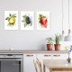 0188 -PLA33 Sett med plakater - Sommerfrukter - 3 stk. 29,7x42 cm