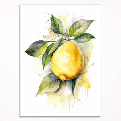 0188 -PLA33 Sett med plakater - Sommerfrukter - 3 stk. 29,7x42 cm