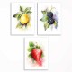 0188 -PLA33 Sett med plakater - Sommerfrukter - 3 stk. 29,7x42 cm