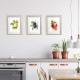 0188-21x27x3b sett med bilder - sommerfrukter - 3 stk 21x27 cm