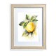 0188-21x27x3b sett med bilder - sommerfrukter - 3 stk 21x27 cm