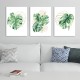 0315 -PLA33 Conjunto de pôsteres - folhas de monstera tropical - 3 pcs. 29.7x42 cm