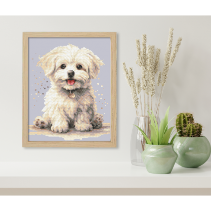 K 10893 Tapestry Canvas - Little Maltese