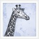 NAR30x30-12 AIDA mit gedruckter Hintergrund 30x30 cm - Blauer Marmor