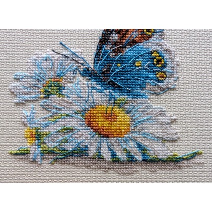 Rio 2220 Cross Stitch Kit Mouline - Fragile Beauty