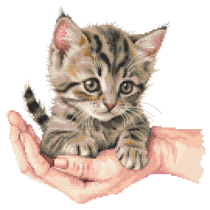 W 10923 Σχέδιο Cross Stitch PDF - γλυκό γατάκι