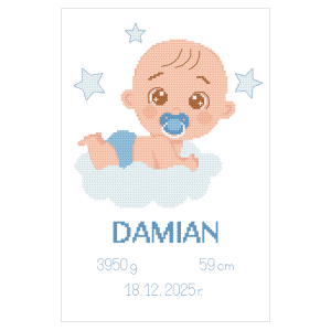 W 11123 Modèle de point de croix PDF - Certificat de naissance - Baby Boy