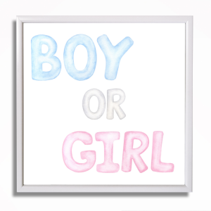0493RA Baby shower picture - Boy or Girl