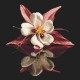 W 8859 Cross stitch pattern PDF - Reflection of aquilegia
