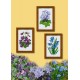 W 22122 online -kuvio PDF - Violettit