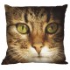 W 8843-01 ONLINE pattern pdf - Pillow - Cat Lucky