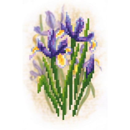 8471 -kuvakudoksen Aida - Irises