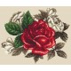 AN 8568 Tapiz Aida - Rosa roja