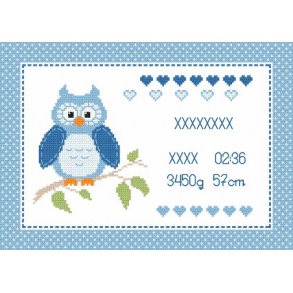En 8634-02 Tapestry Aida - Birth Certificate With Owl