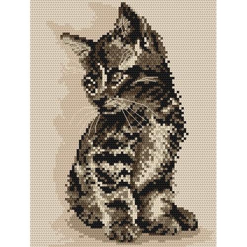 AN 871 Kitten - Tapestry aida AN 871 Kitten - Tapestry aida