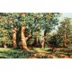 LS B476 Cross Stitch Kit - The Oak Grove