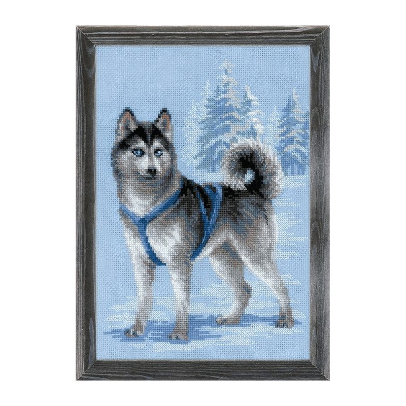 Cross stitch kit with yarn - Husky - Coricamo