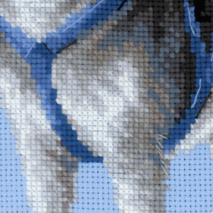 RIO 1626 Cross stitch kit with yarn - Husky