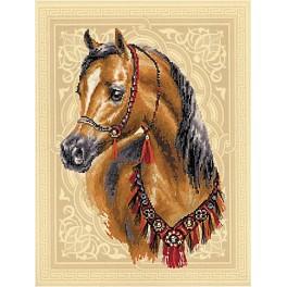 RIO PT-40 Cross stitch kit with mouline and printed background - Arabian treasure